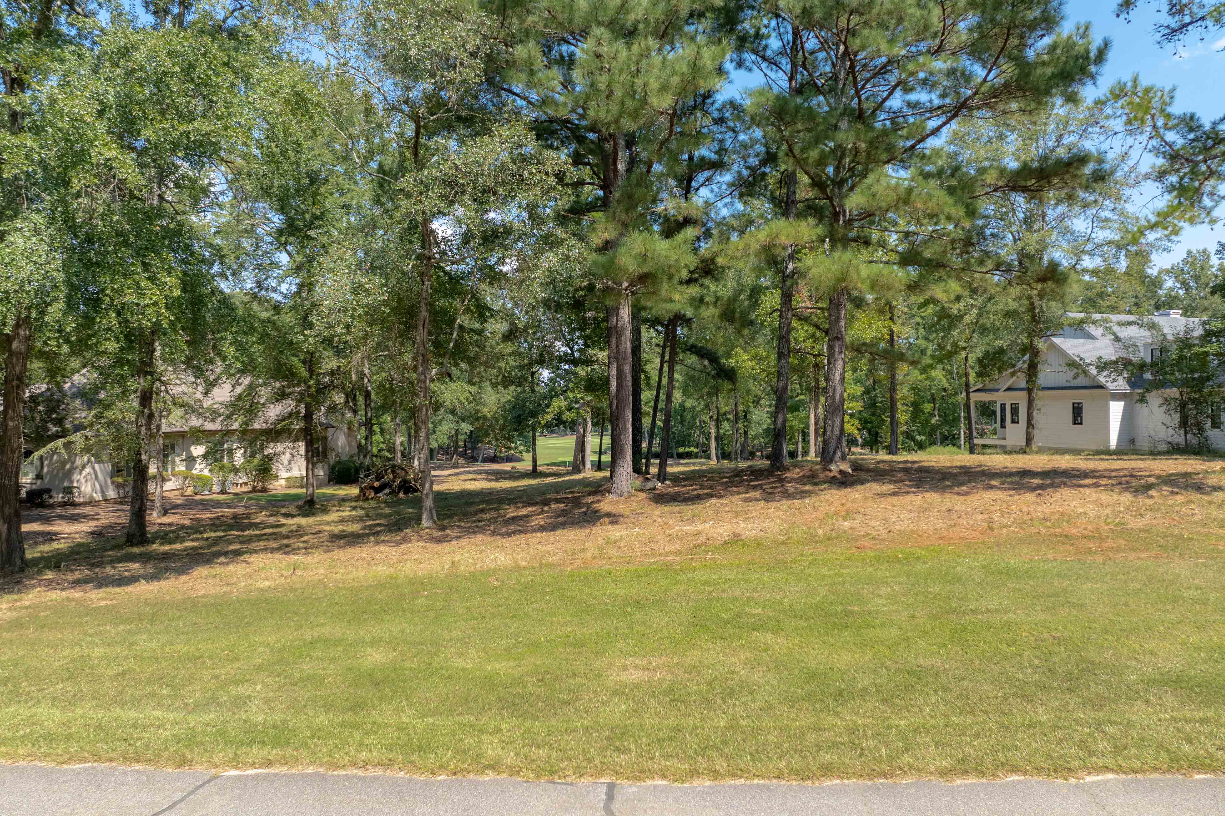 161 Broadlands Drive image 6